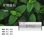 [山姆代購] Millefiori 車載香氛套裝金屬礦物