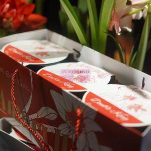 [山姆代購] 自然之花 朱頂紅種植盆套裝3入組
