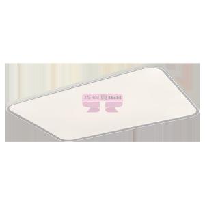 [山姆代購] Pak 睿瞳全光譜吸頂燈104W(包安裝)